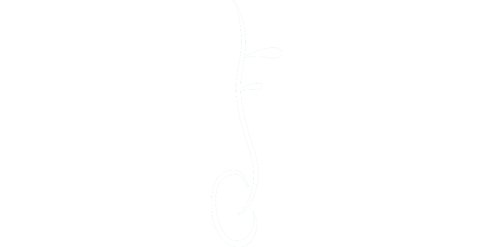Fundación Germinare